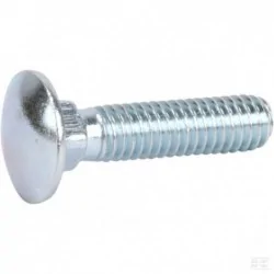 Vis à tête bombée M6x35