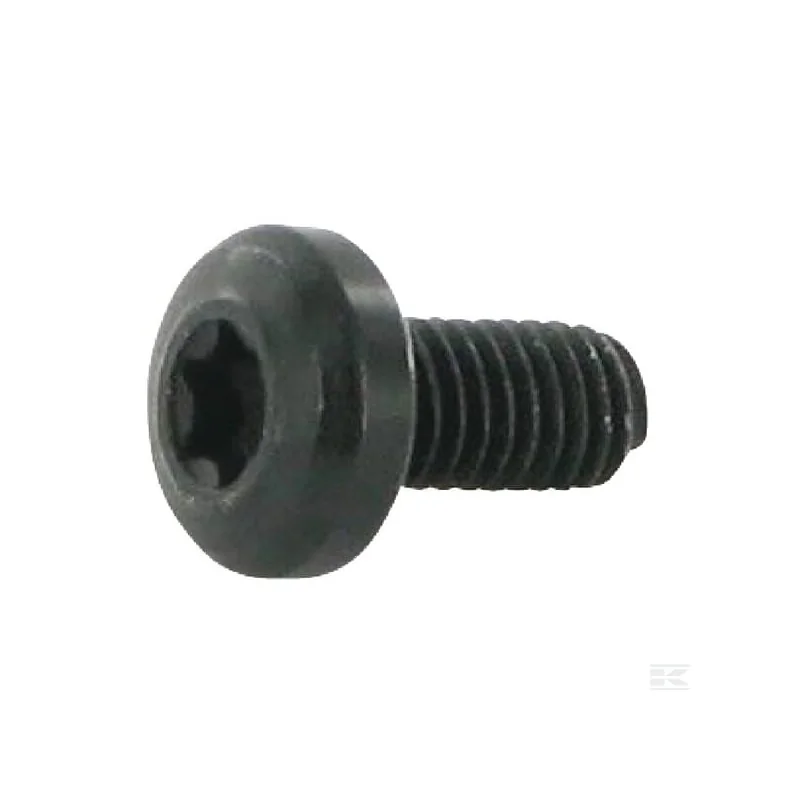 Vis M6x12