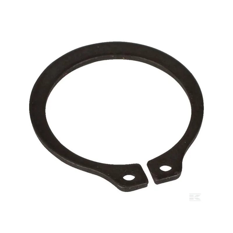 Circlip
